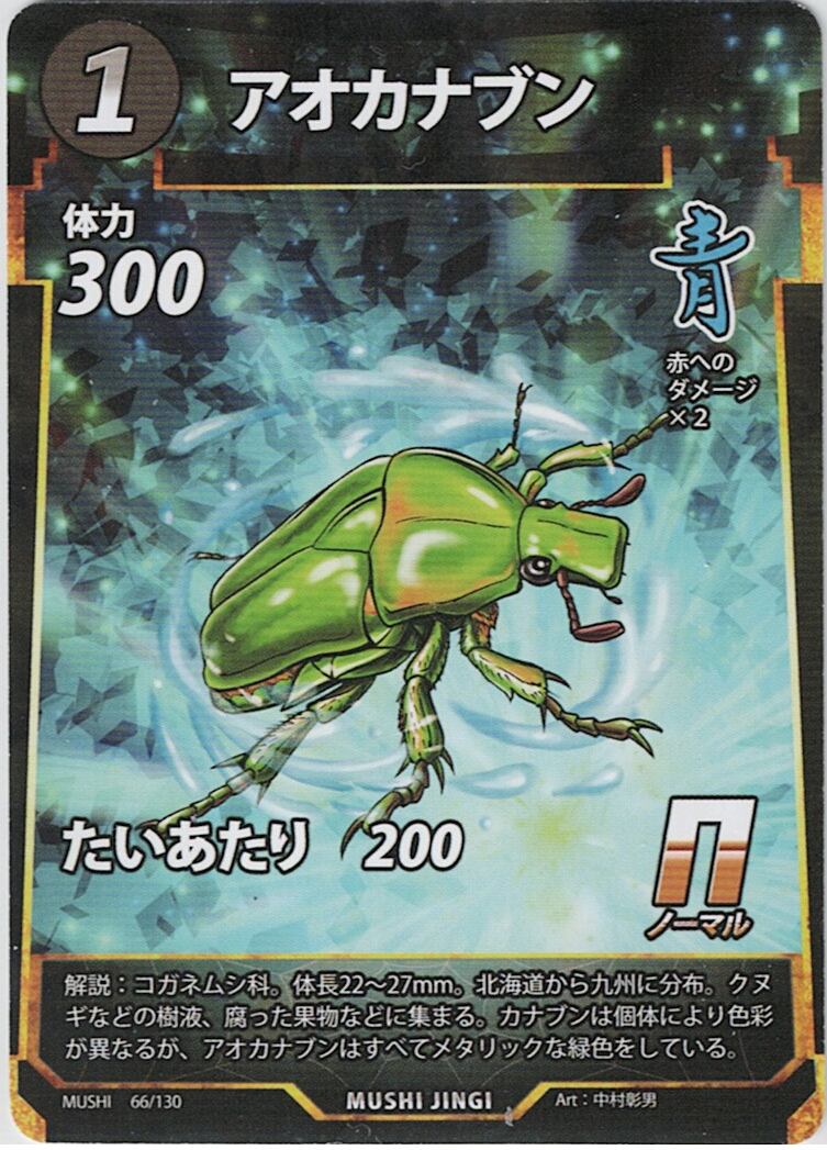 MUSHI1-66 アオカナブン N
