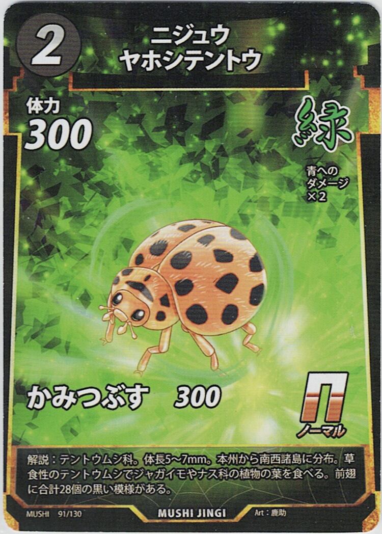 MUSHI1-91 ニジュウヤホシテントウ N