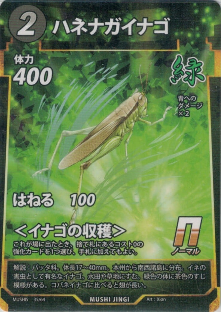 MUSHI5-35 ハネナガイナゴ N