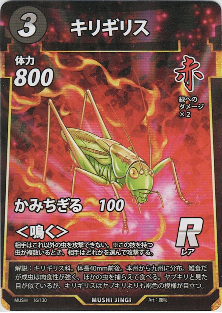 MUSHI1-16 キリギリス R