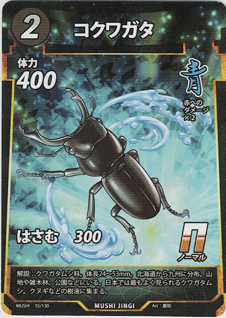MUSHI1-55 コクワガタ N