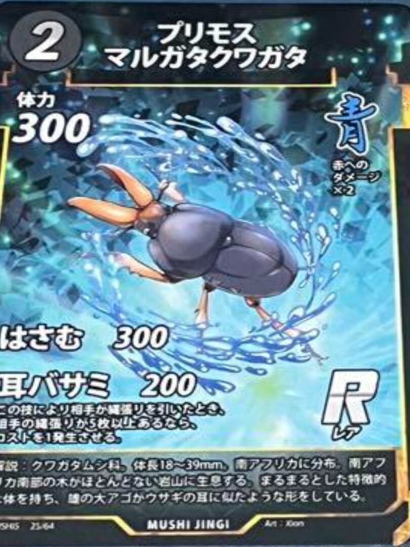 MUSHI5-25 プリモスマルガタクワガタ R