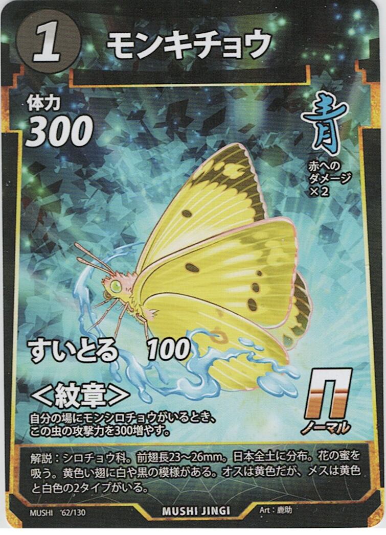 MUSHI1-62 モンキチョウ N