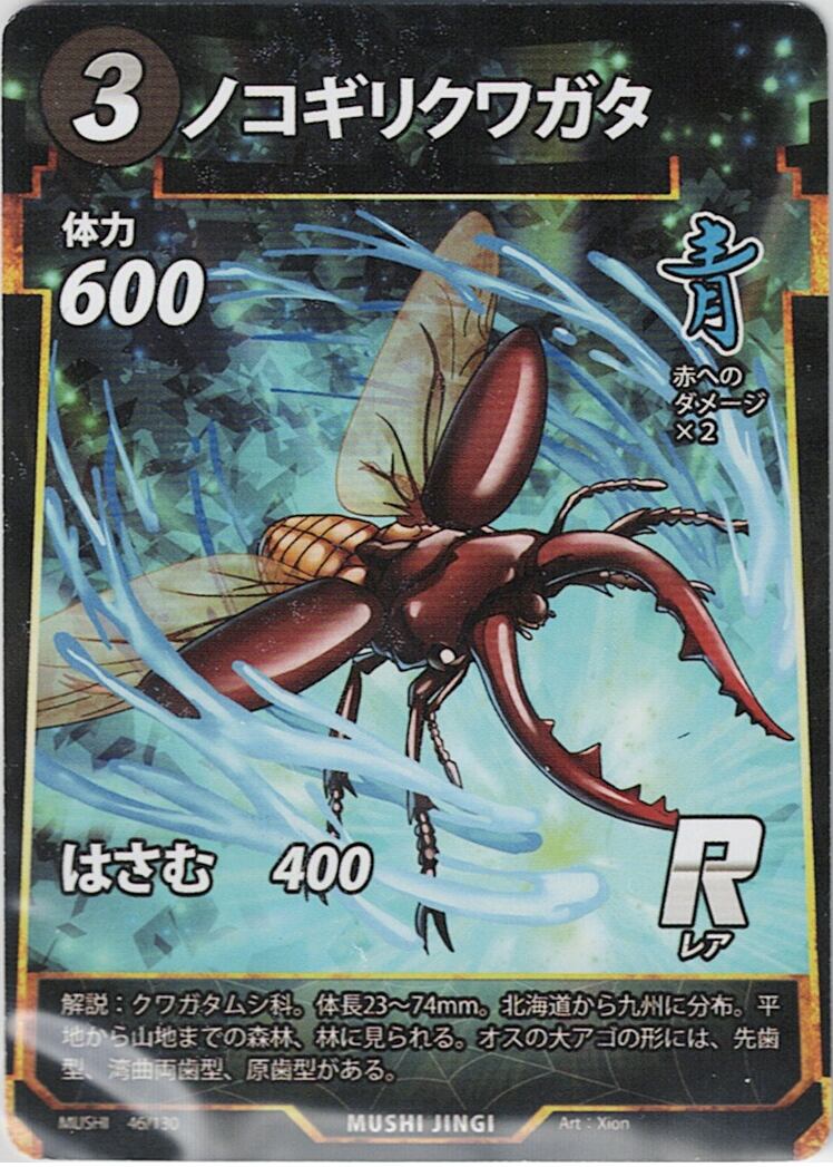 MUSHI1-46 ノコギリクワガタ R