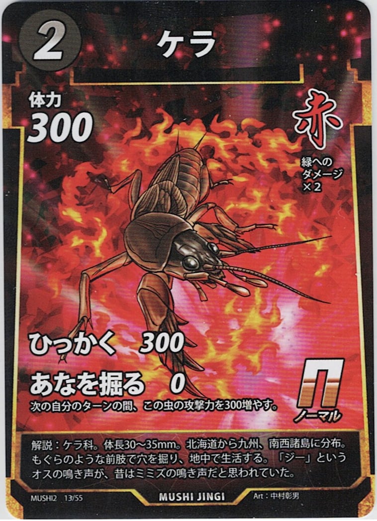 MUSHI2-13 ケラ N