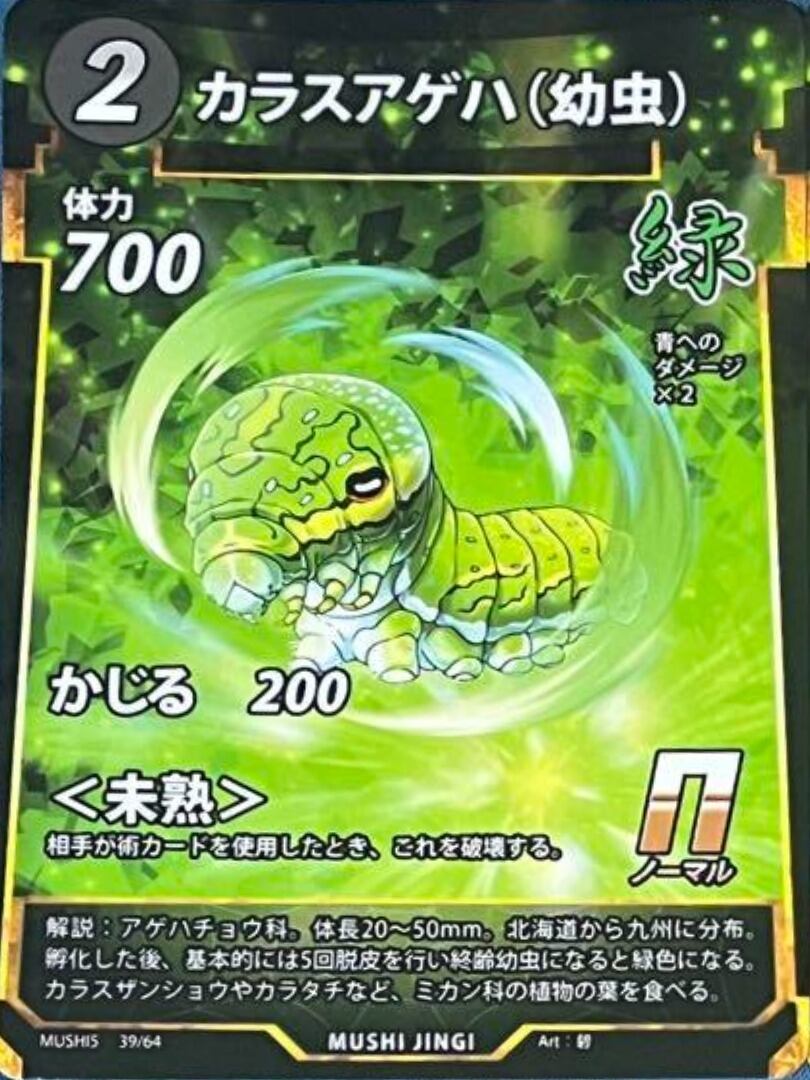 MUSHI5-39 カラスアゲハ（幼虫） N