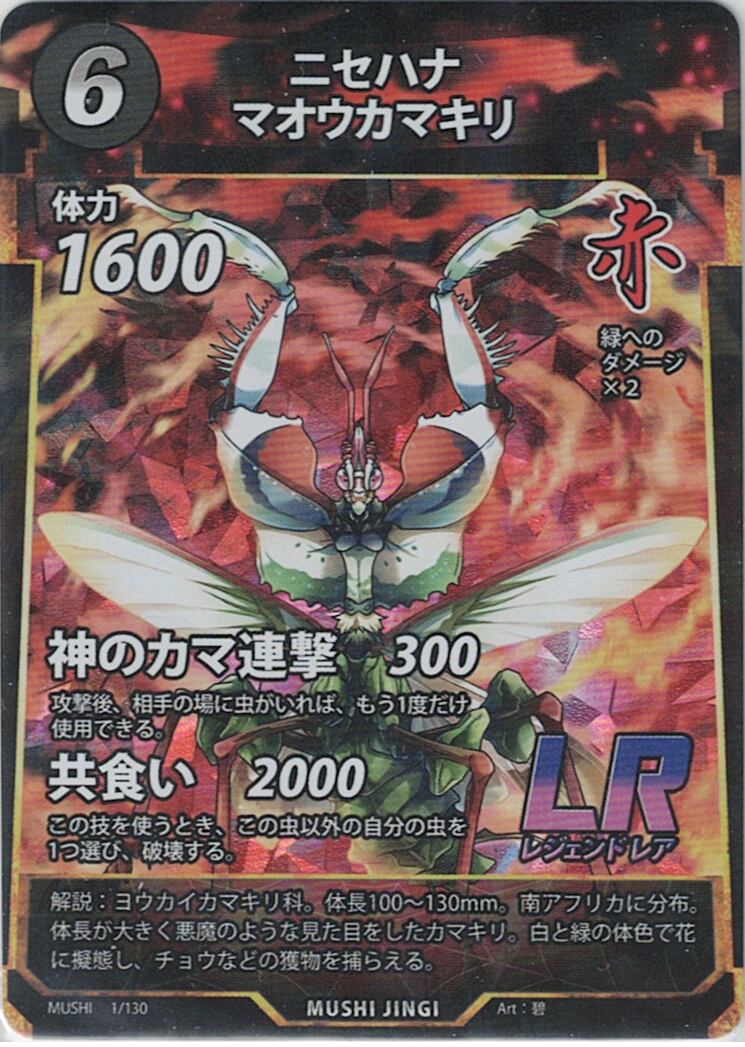 MUSHI1-1 ニセハナマオウカマキリ LR