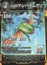 MUSHI4-24シロテンハナムグリN