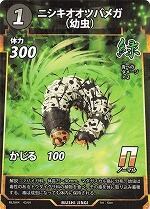 MUSHI4-42ニシキオオツバメガ（幼虫）N