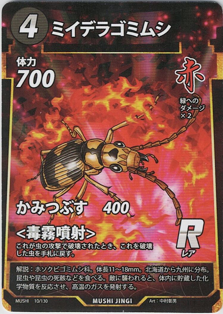 MUSHI1-10 ミイデラゴミムシ R