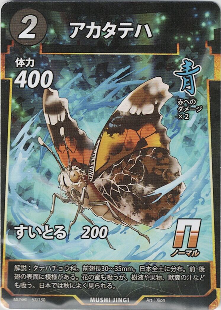 MUSHI1-57 アカタテハ N