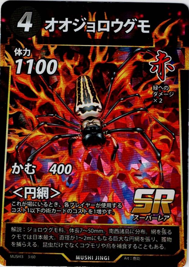 MUSHI3-3 オオジョロウグモ SR