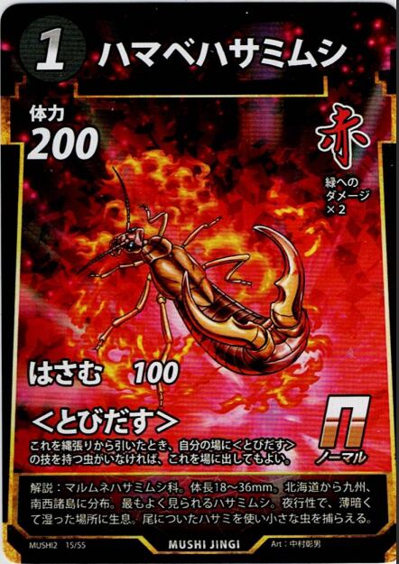 MUSHI2-15 ハマベハサミムシ N