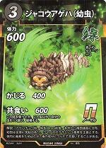 MUSHI4-36ジャコウアゲハ（幼虫）N