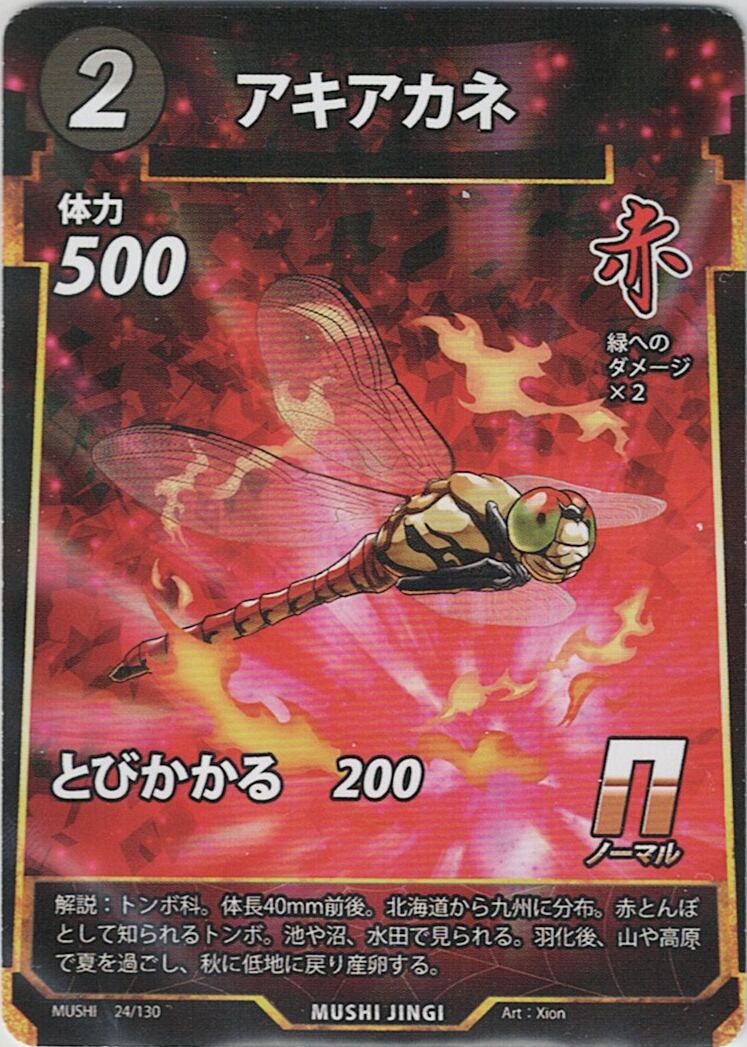 MUSHI1-24 アキアカネ N