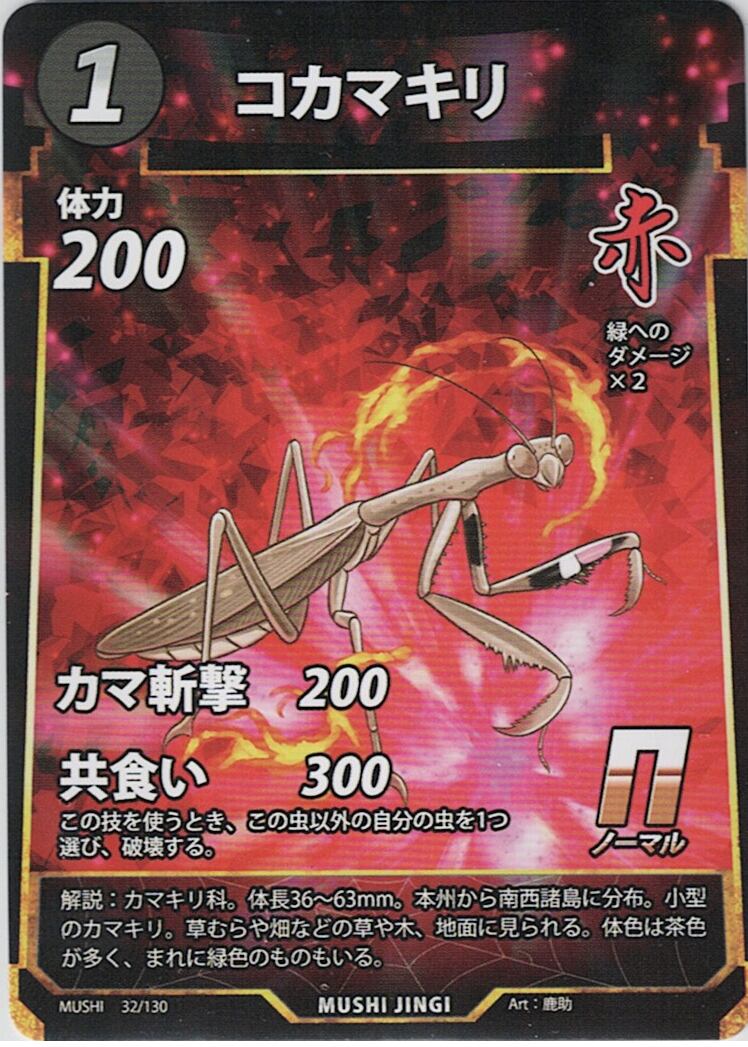 MUSHI1-32 コカマキリ N