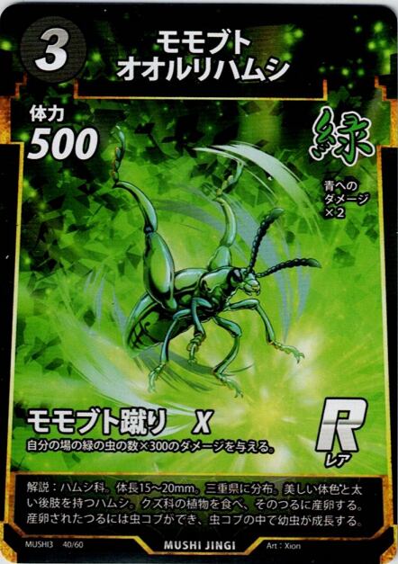 MUSHI3-40 モモブトオオルリハムシ R