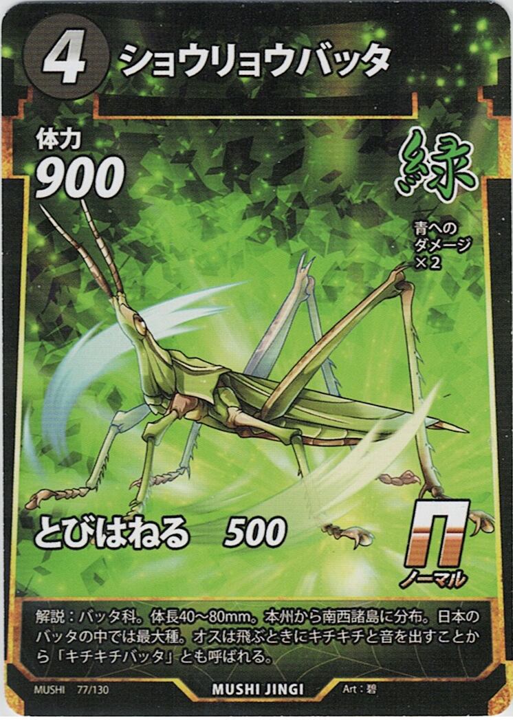 MUSHI1-77 ショウリョウバッタ N