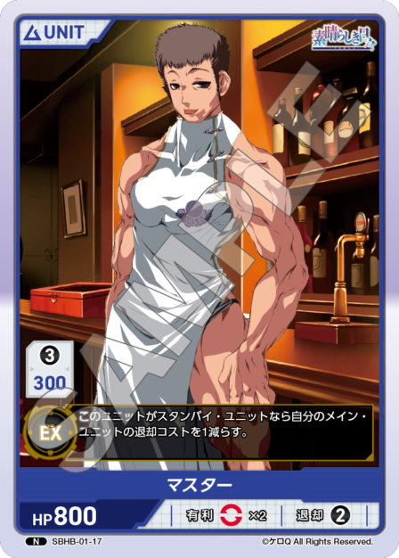 SBHB-01-17 N マスター