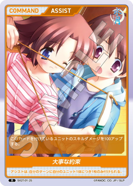 SIGT-01-25 大事な約束 R