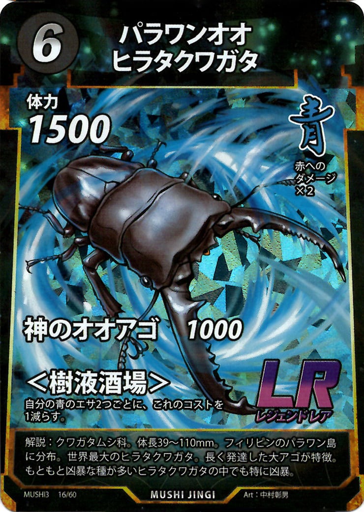 MUSHI3-16 パラワンオオヒラクワガタ LR