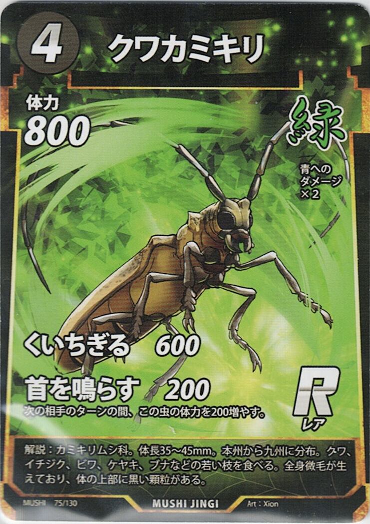 MUSHI1-75 クワカミキリ R