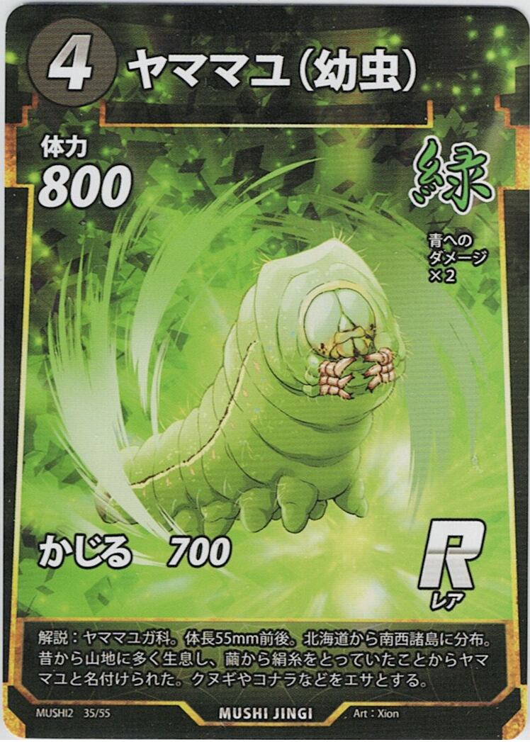 MUSHI2-35 ヤママユ(幼虫) R