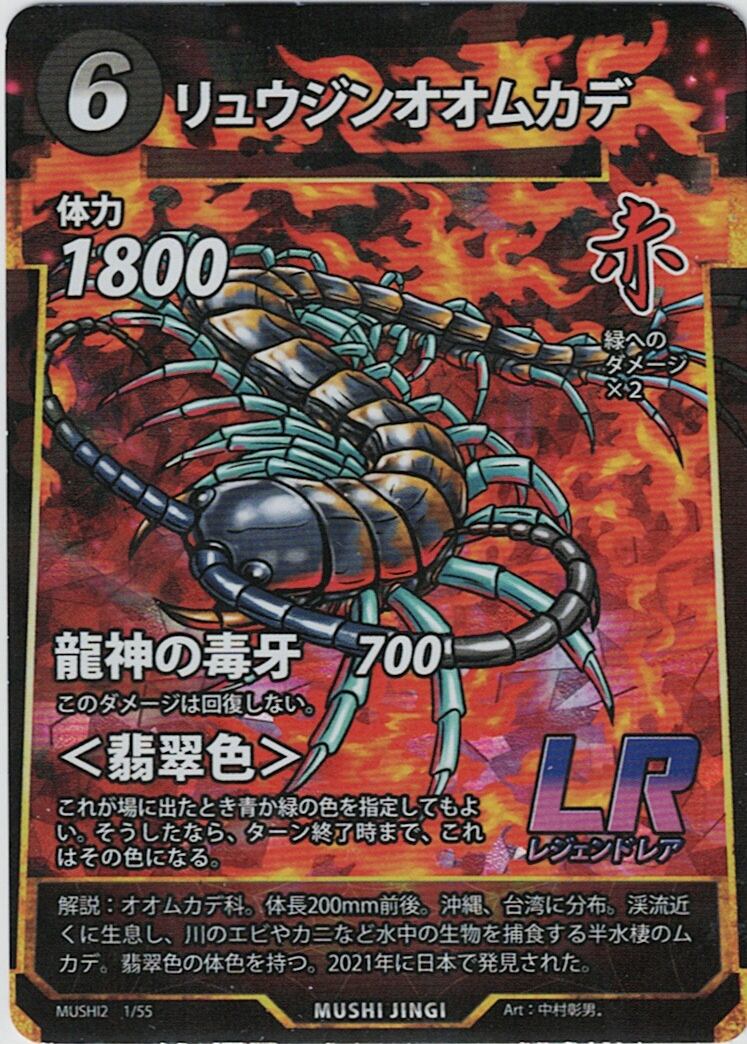 MUSHI2-1 リュウジンオオムカデ LR