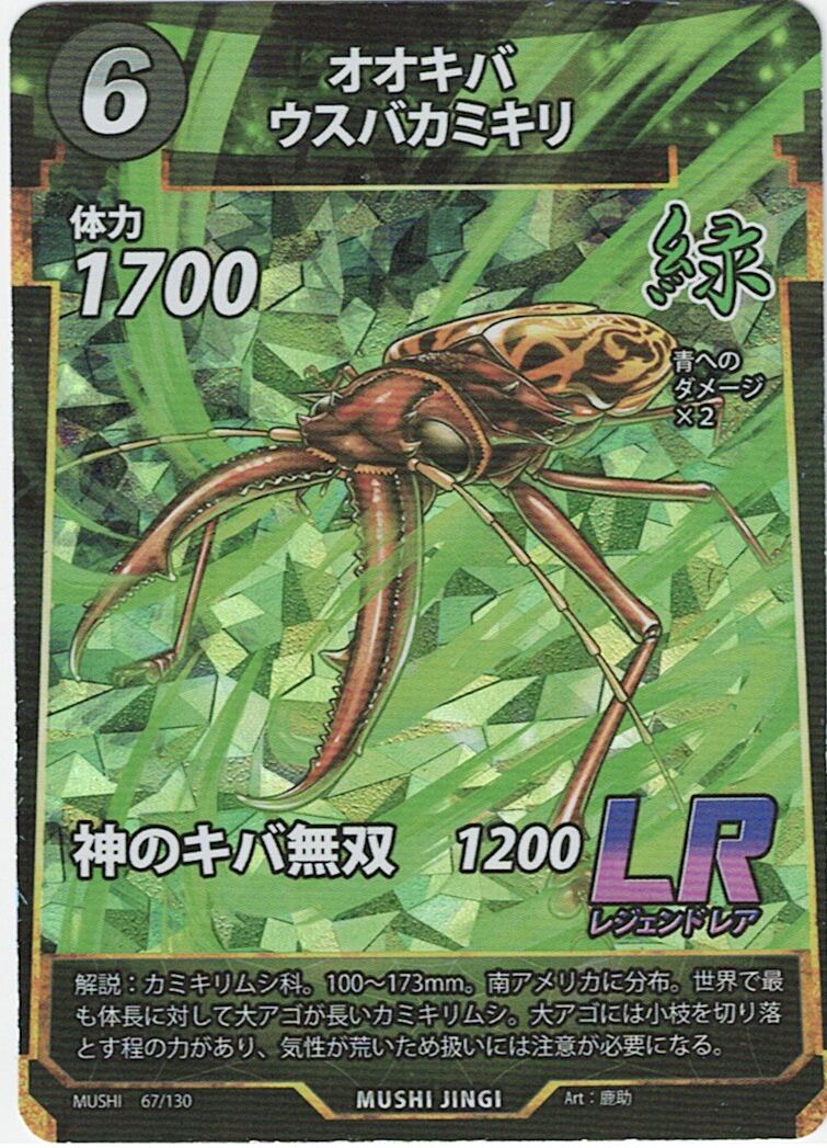 MUSHI1-67 オオキバウスバカミキリ LR