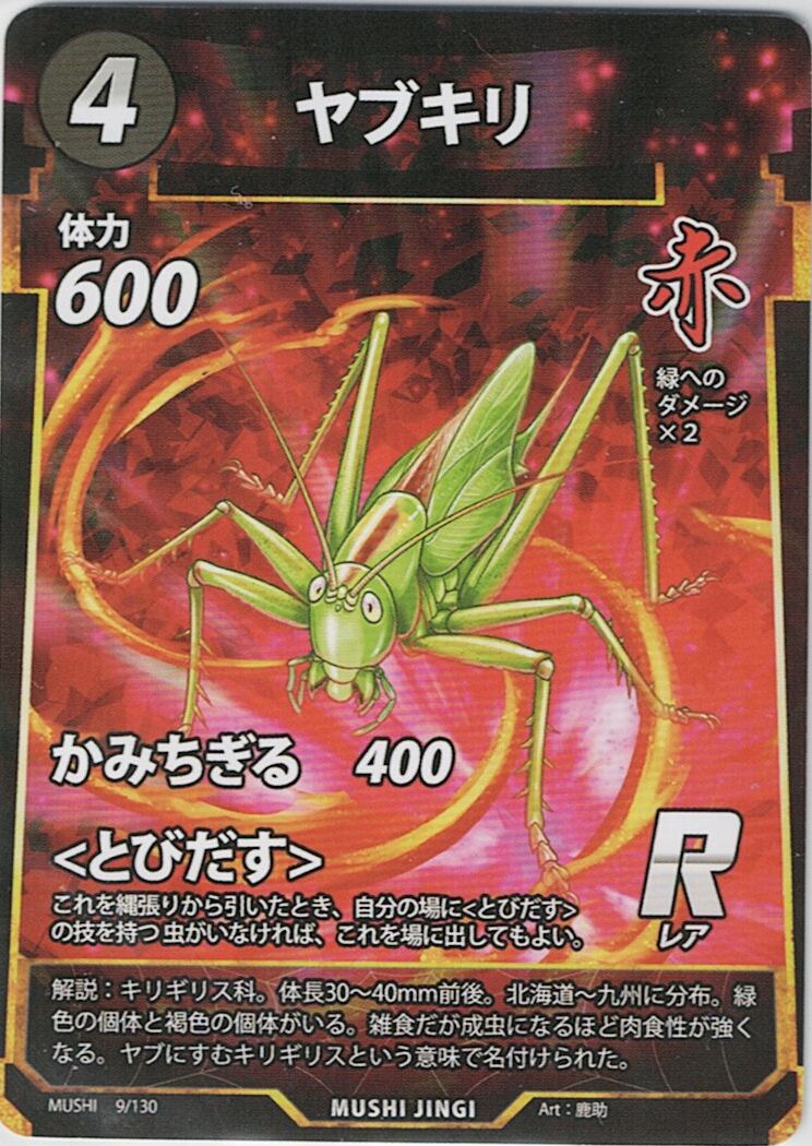 MUSHI1-9 ヤブキリ R