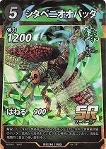 MUSHI4-30シタベニオオバッタSR