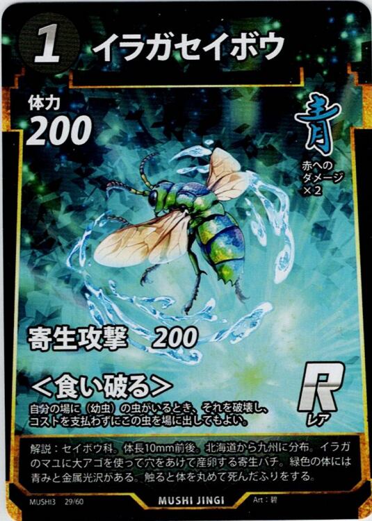MUSHI3-29 イラガセイボウ R