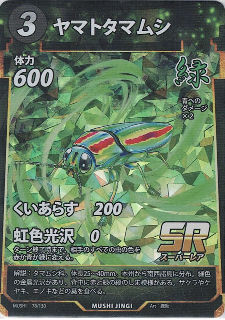 MUSHI1-78 ヤマトタマムシ SR