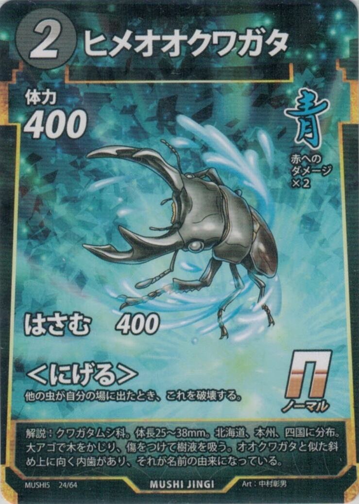 MUSHI5-24 ヒメオオクワガタ N