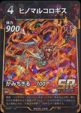 MUSHI5-04 ヒノマルコロギス SR