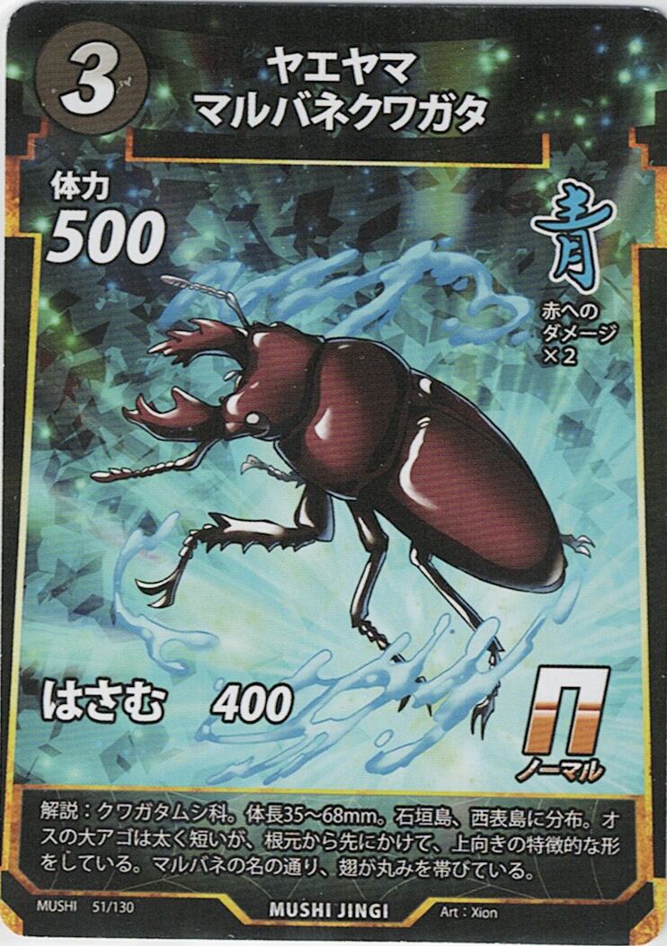 MUSHI1-51 ヤエヤママルバネクワガタ N