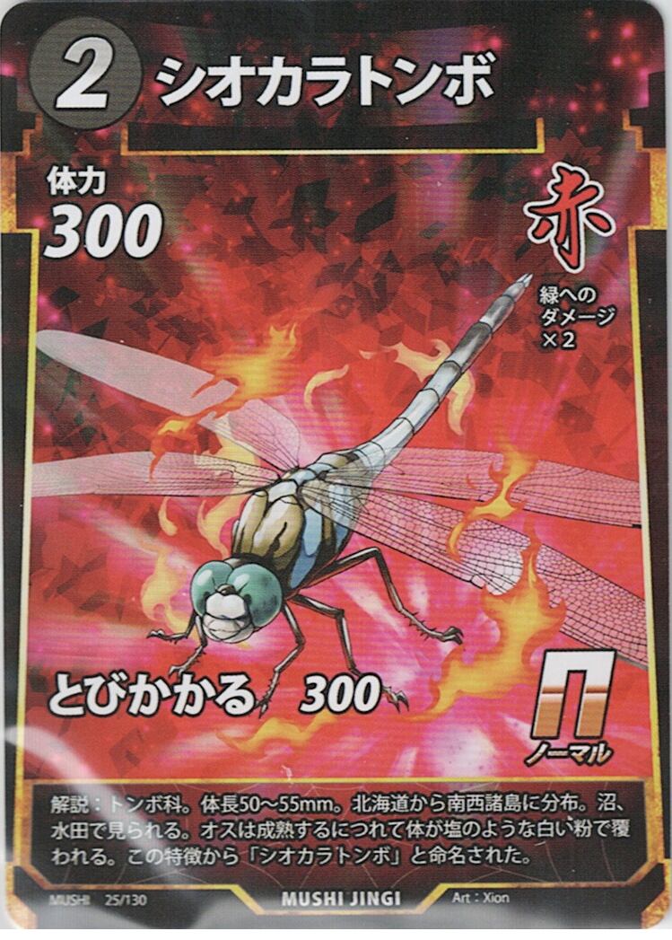 MUSHI1-25 シオカラトンボ N