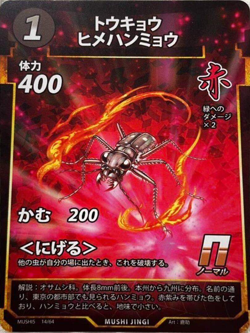 MUSHI5-14 トウキョウヒメハンミョウ N