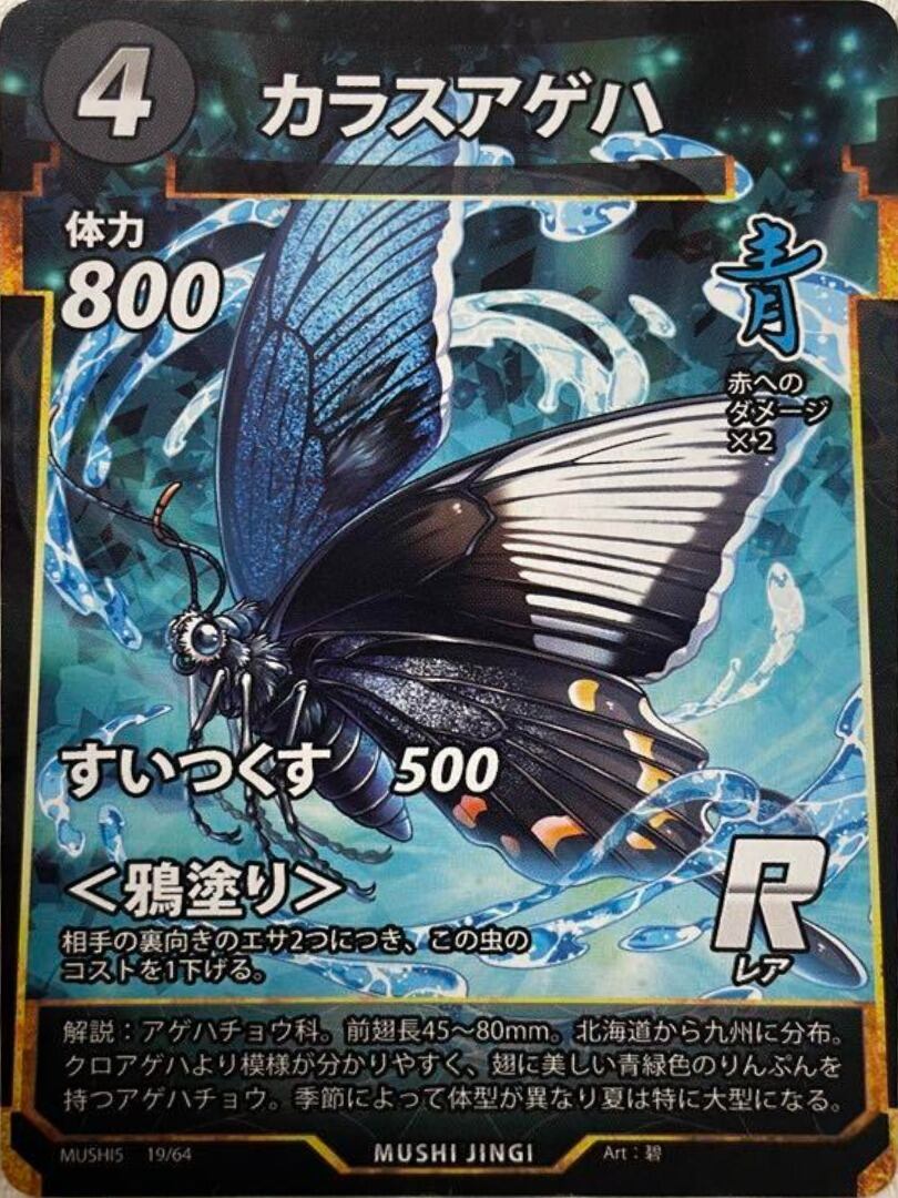 MUSHI5-19 カラスアゲハ R