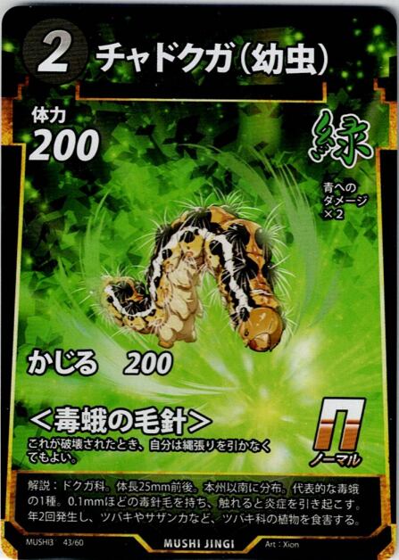 MUSHI3-43 チャドクガ（幼虫） N