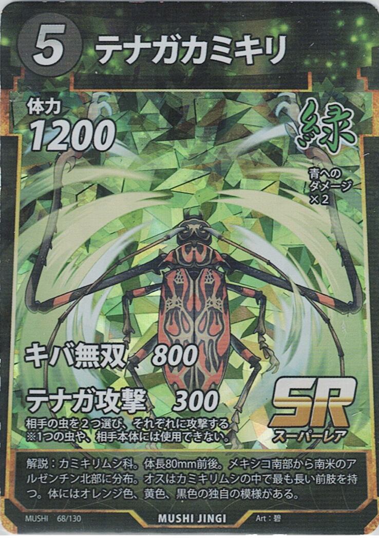 MUSHI1-68 テナガカミキリ SR