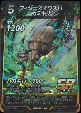 MUSHI5-31 フィジーオオウスバカミキリ SR