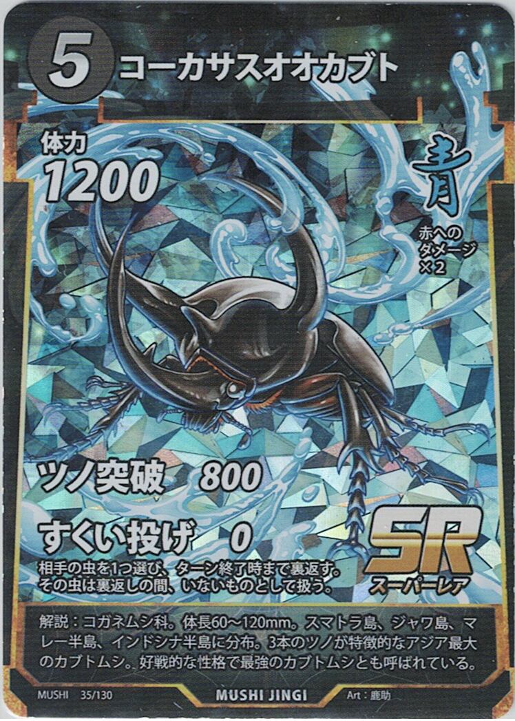 MUSHI1-35 コーカサスオオカブト SR