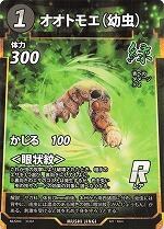 MUSHI4-37オオトモエ（幼虫）R