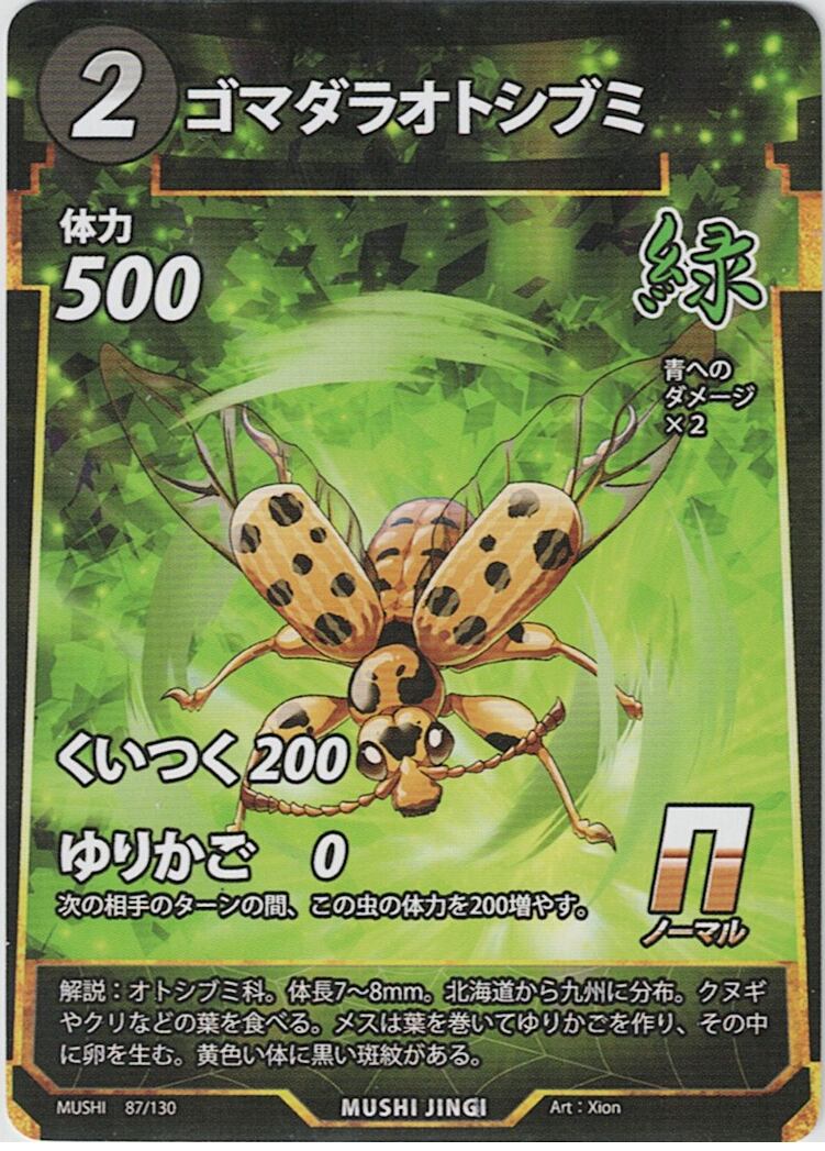 MUSHI1-87 ゴマダラオトシブミ N