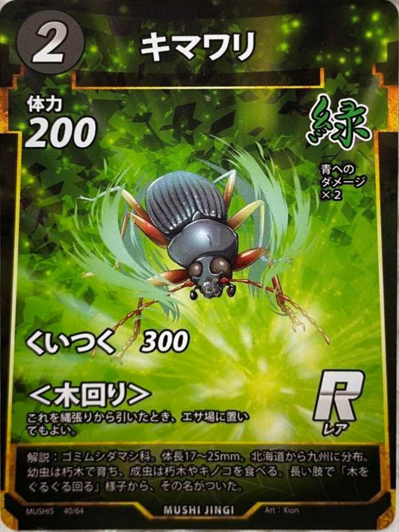 MUSHI5-40 キマワリ R