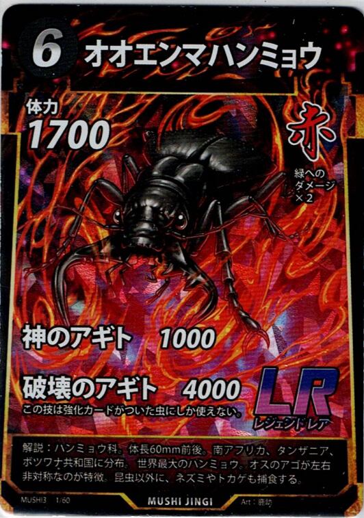 MUSHI3-1 オオエンマハンミョウ LR
