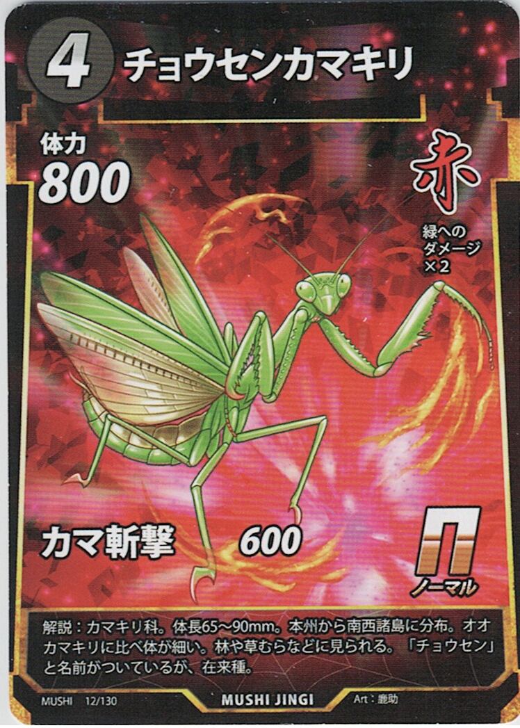 MUSHI1-12 チョウセンカマキリ N