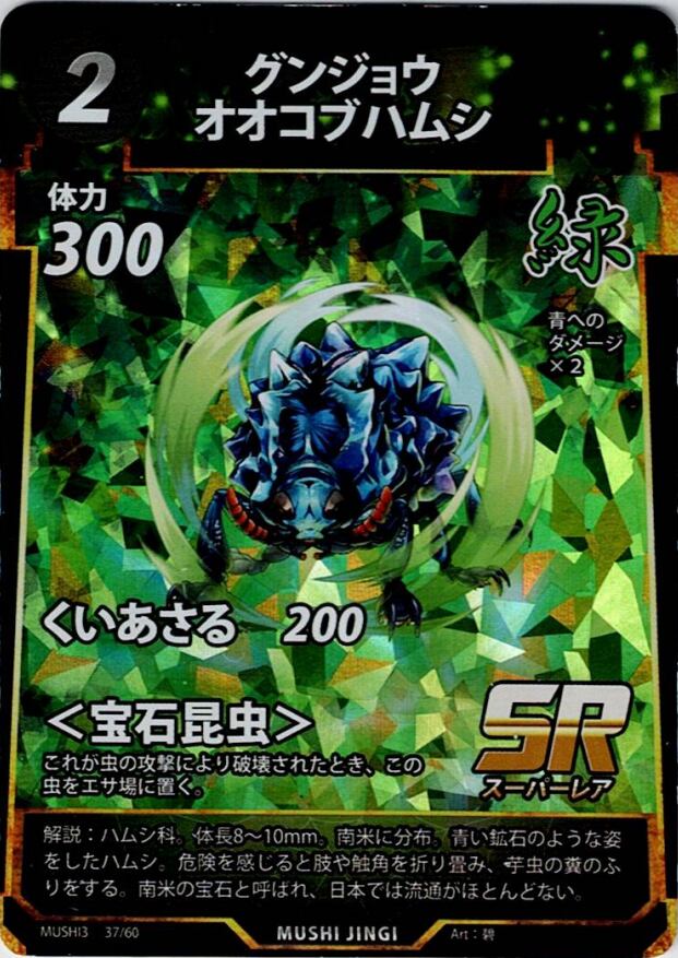MUSHI3-37 グンジョウオオコブハムシ SR