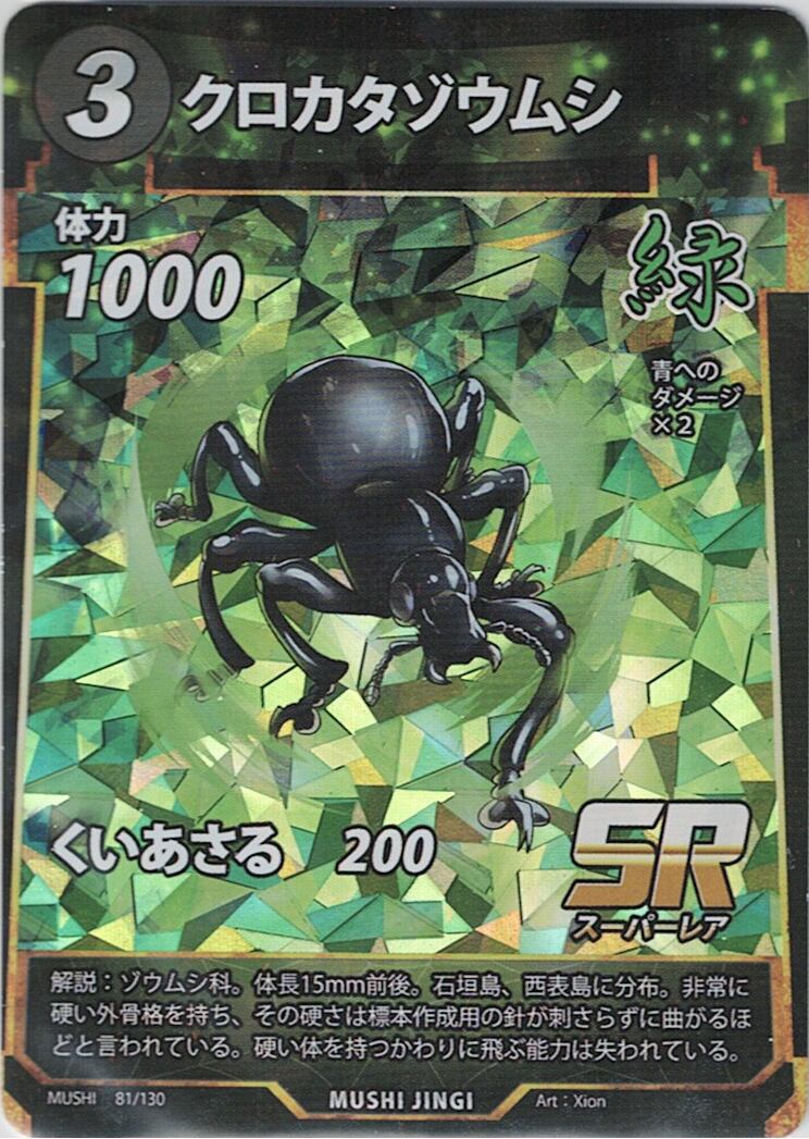 MUSHI1-81 クロカタゾウムシ SR